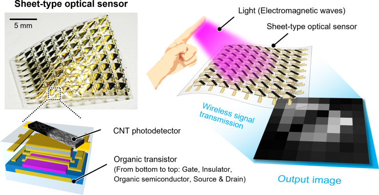 Sheet Type Optical Sensor Integrated With a Carbon Nanotube Photodetector and an Organic Transistor