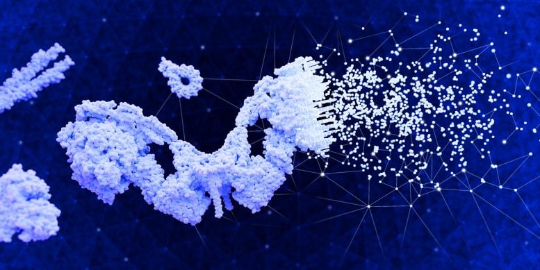 AI Tool Predicts Function of Unknown Proteins