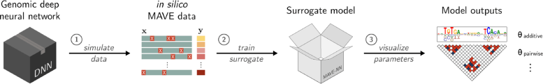  SQUID Computational Pipeline