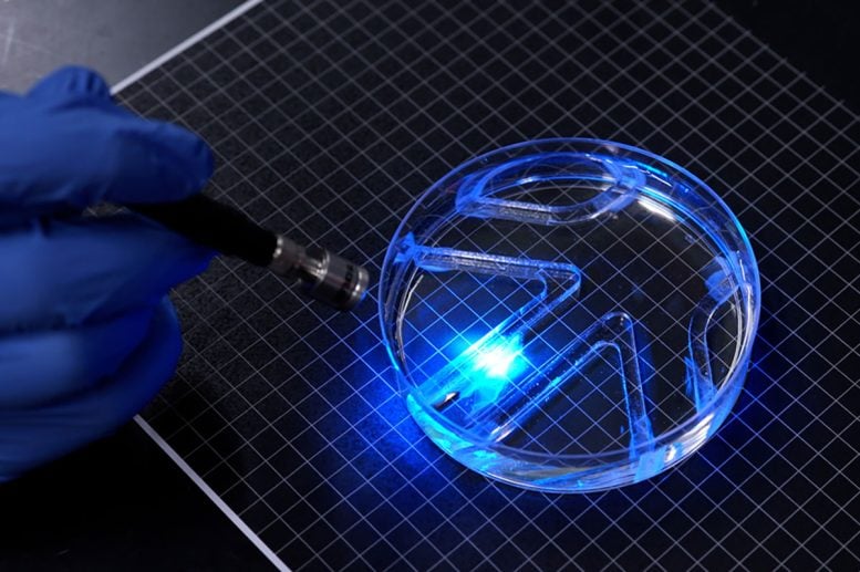 Light Activated Soft Robot in Water