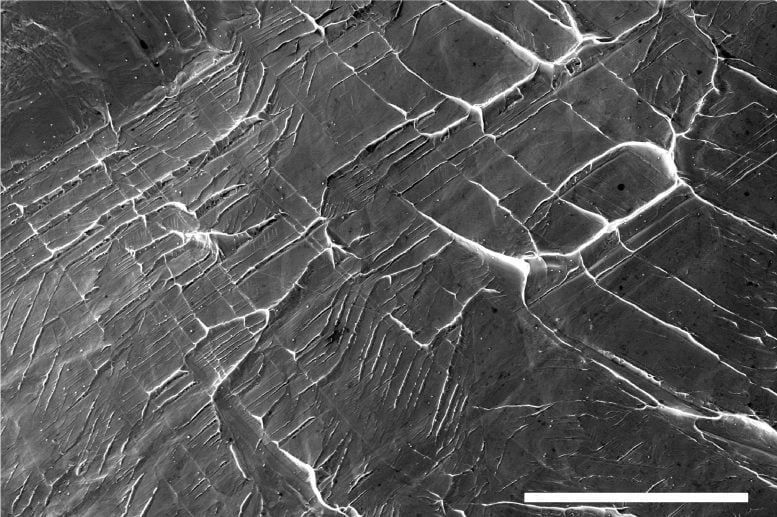 Electron Microscopy of Defects in Niobium Titanium Alloys